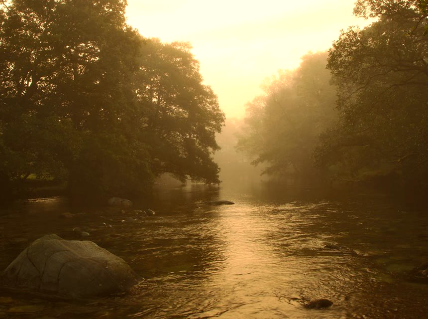 Amber Line — a graded still from the project
